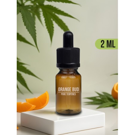 Terpenos naturales de cáñamo Sativa Orange Bud, online en Vapeocbd.es