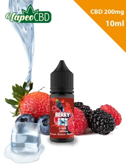e-líquido 10ml CBD 200 sabor a fruta y mas online en VapeoCBD.es