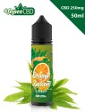 Orange Balcan e-líquido CBD extracto de marihuana online en VapeoCBD